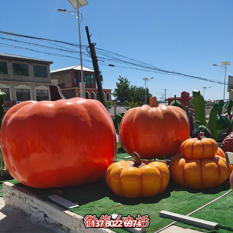 美麗鄉(xiāng)村，收獲美食——南瓜種植示范農(nóng)場